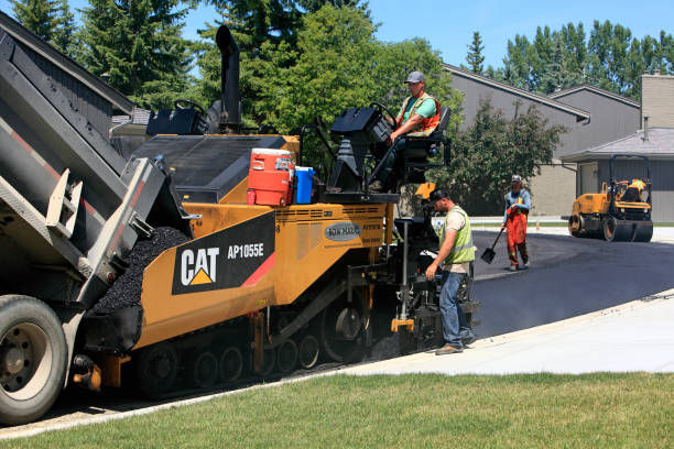 Best Custom Driveway Pavers  in Van Buren, AR